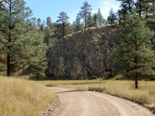 GDMBR: Pedaling north on NF-28, La Jolla Canyon, Gila NF, NM.